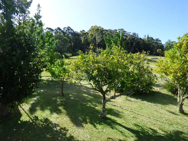 Fifth view of Homely rural property listing, 20 Peisleys Rd, GENOA Via, Mallacoota VIC 3892