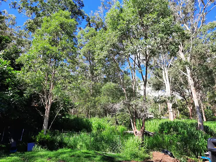 Third view of Homely house listing, 10 Grigg St, Ravenshoe QLD 4888