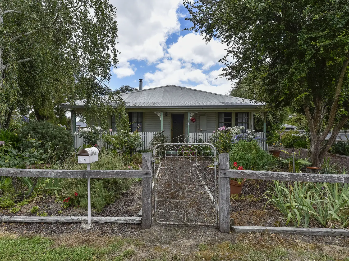 Main view of Homely house listing, 19 Petticoat Lane, Penola SA 5277