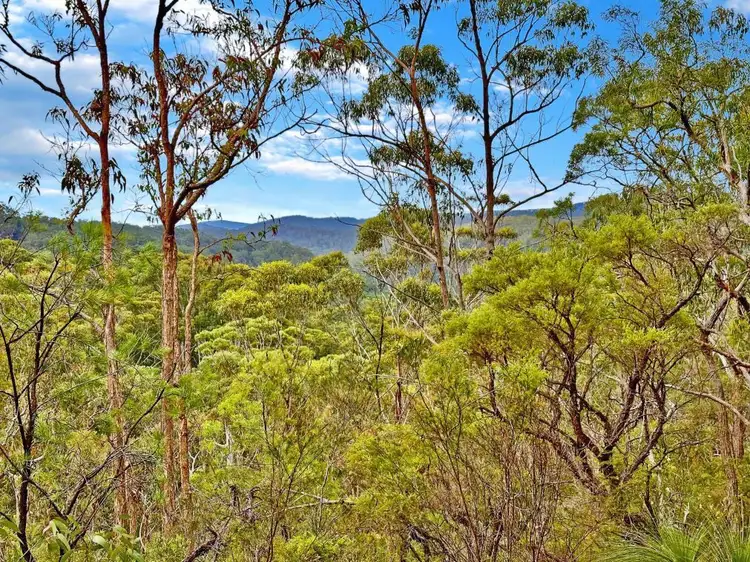 Second view of Homely rural property listing, 5551 George Downes Drive, Bucketty NSW 2250