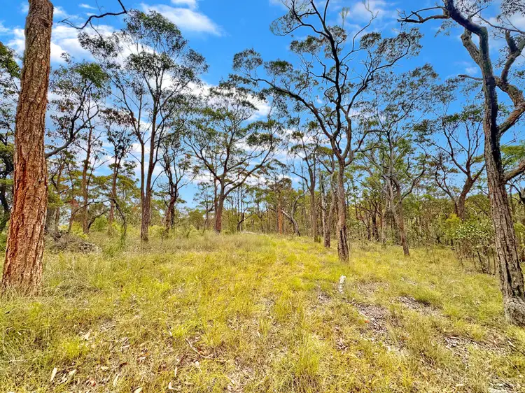 Fourth view of Homely rural property listing, 5551 George Downes Drive, Bucketty NSW 2250