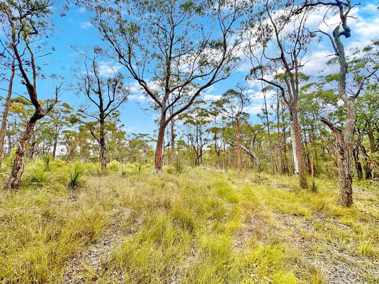 Fifth view of Homely rural property listing, 5551 George Downes Drive, Bucketty NSW 2250