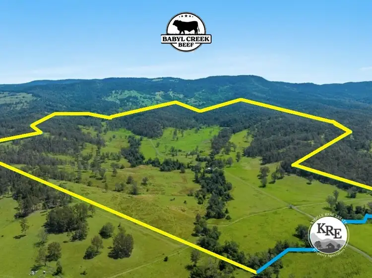 Fourth view of Homely rural property listing, 421 Babyl Creek Road, Kyogle NSW 2474
