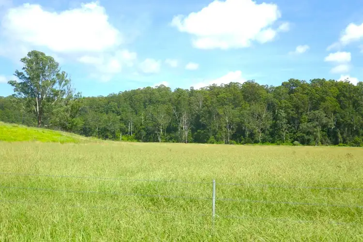 Fifth view of Homely rural property listing, 421 Babyl Creek Road, Kyogle NSW 2474