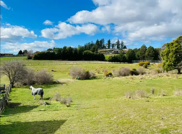 Main view of Homely rural property listing, 17 Legge St, Fingal TAS 7214