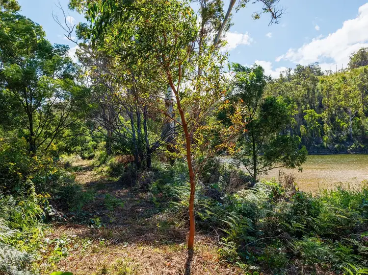 Seventh view of Homely rural property listing, Lot 5 DP1147881 Boyd Rd Via KIAH, Eden NSW 2551