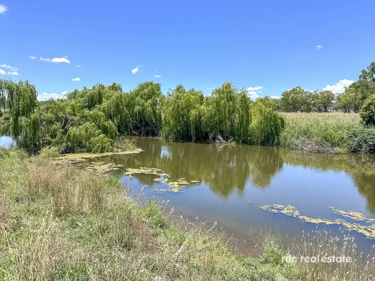 Third view of Homely rural property listing, 213 Mclachlans Lane, Inverell NSW 2360