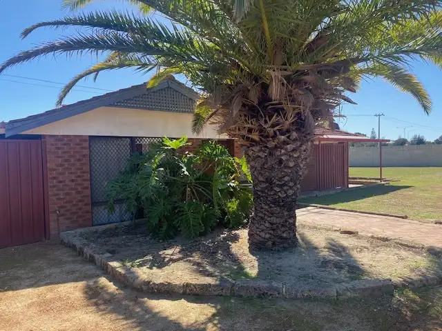 20 Larsson Walk, Clarkson WA 6030