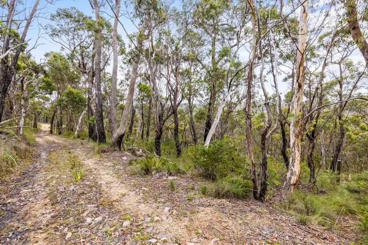 Third view of Homely land listing, 27-29 Salisbury Ave, Mount Victoria NSW 2786