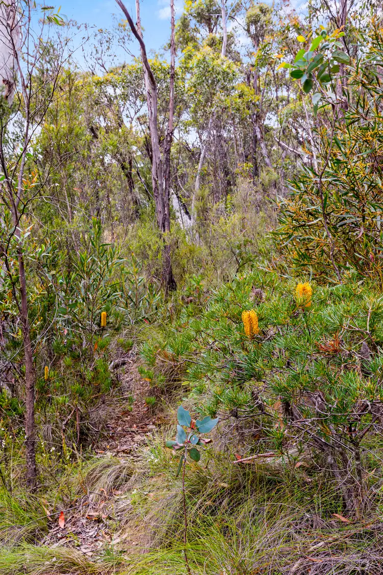 Fourth view of Homely land listing, 27-29 Salisbury Ave, Mount Victoria NSW 2786