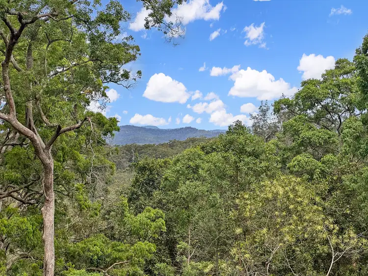 Seventh view of Homely rural property listing, 406 Howards Road, Cedar Creek NSW 2325