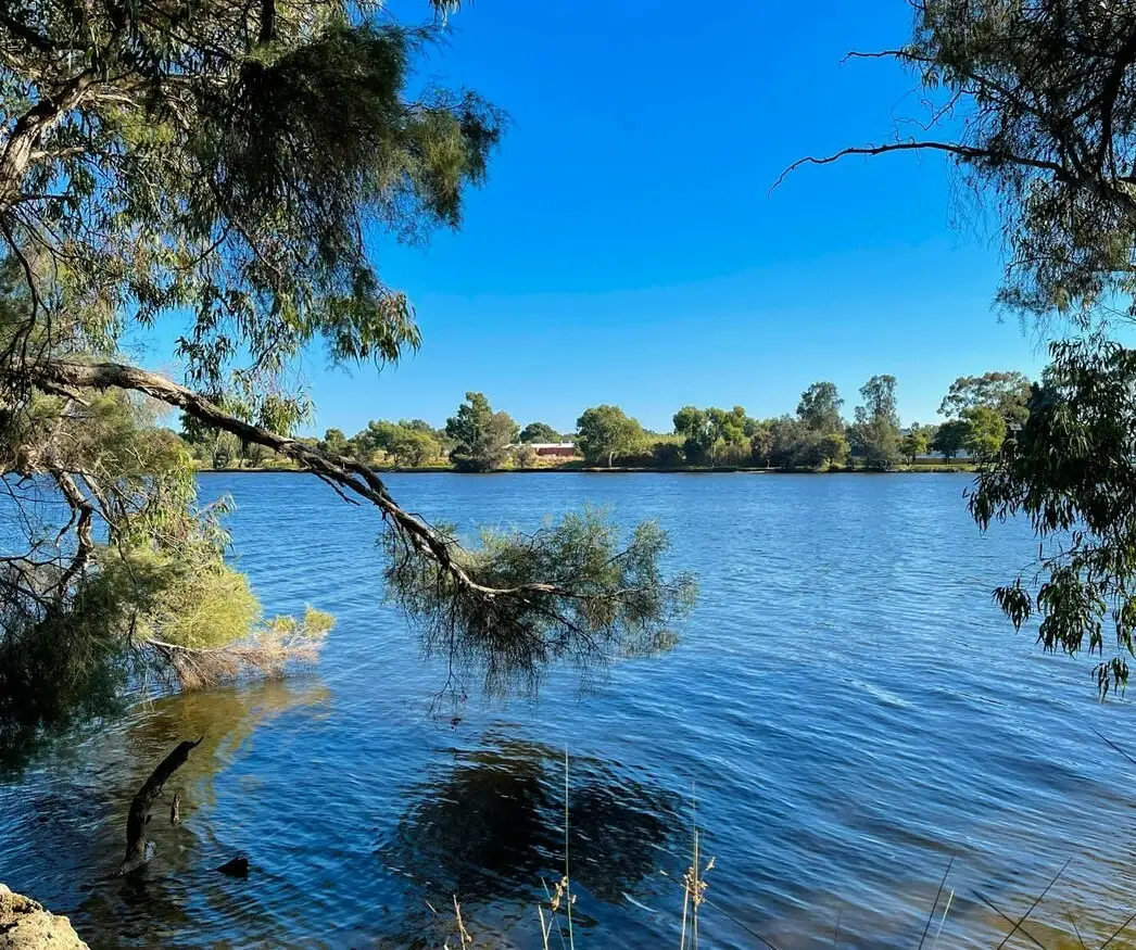 Main view of Homely unit listing, 20A/66 Great Eastern Highway, Rivervale WA 6103