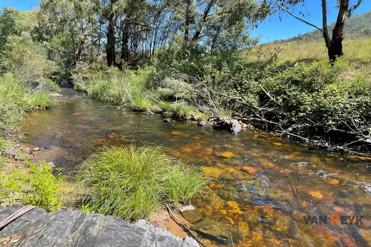 Fourth view of Homely rural property listing, 88 Old Bindi Rd, Bindi VIC 3896
