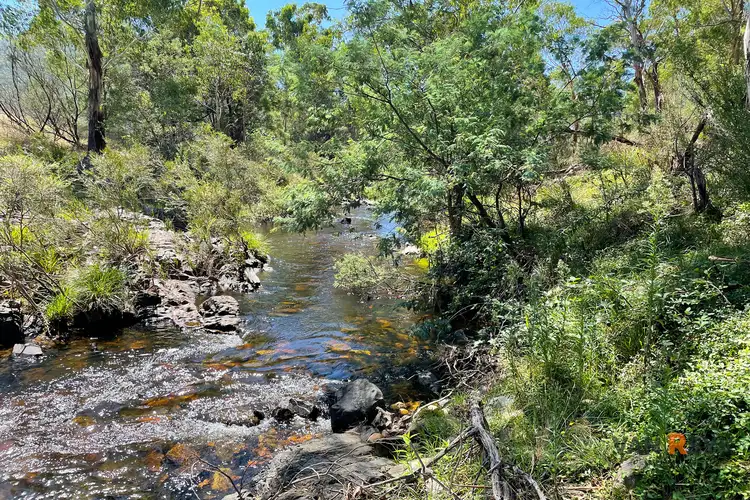 Fifth view of Homely rural property listing, 88 Old Bindi Rd, Bindi VIC 3896