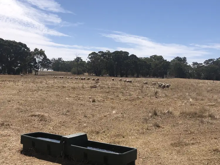 Cnr Wenkes Road & Barbers Road, Walla Walla NSW 2659