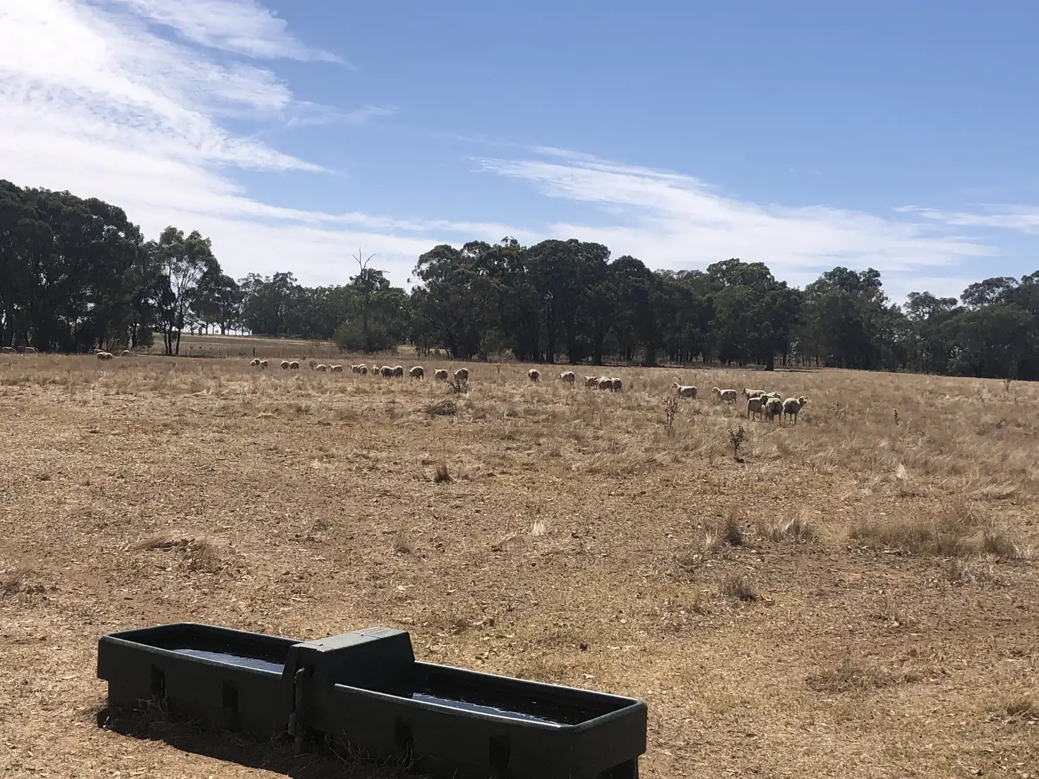 Main view of Homely rural property listing, Cnr Wenkes Road & Barbers Road, Walla Walla NSW 2659