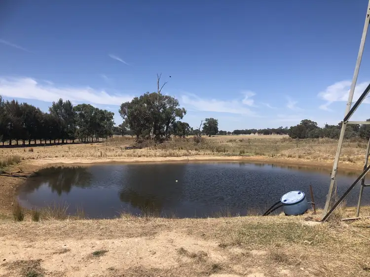 Third view of Homely rural property listing, Cnr Wenkes Road & Barbers Road, Walla Walla NSW 2659