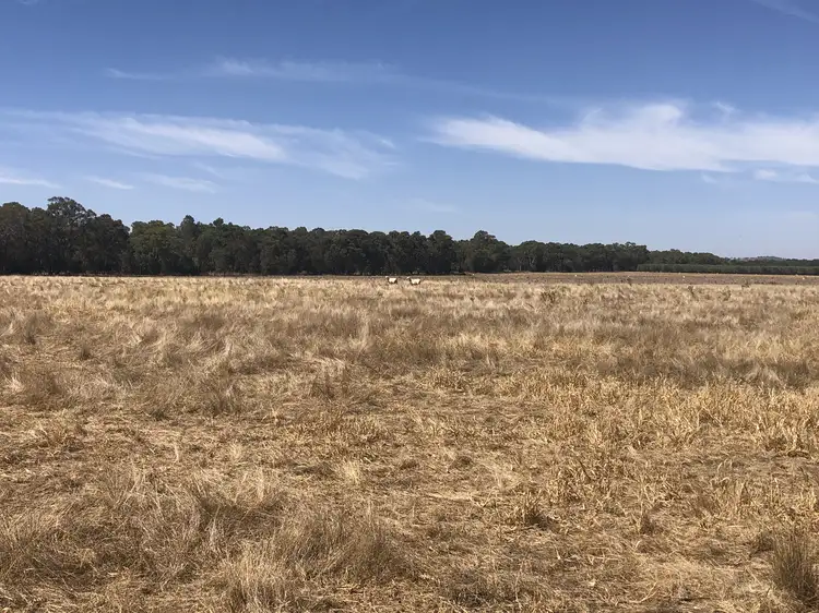 Fourth view of Homely rural property listing, Cnr Wenkes Road & Barbers Road, Walla Walla NSW 2659