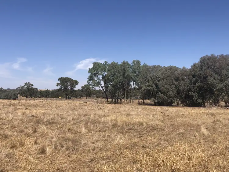 Fifth view of Homely rural property listing, Cnr Wenkes Road & Barbers Road, Walla Walla NSW 2659
