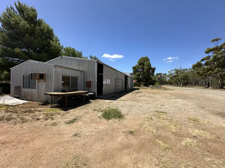 Main view of Homely warehouse listing, 14 Charles St, Caltowie SA 5490