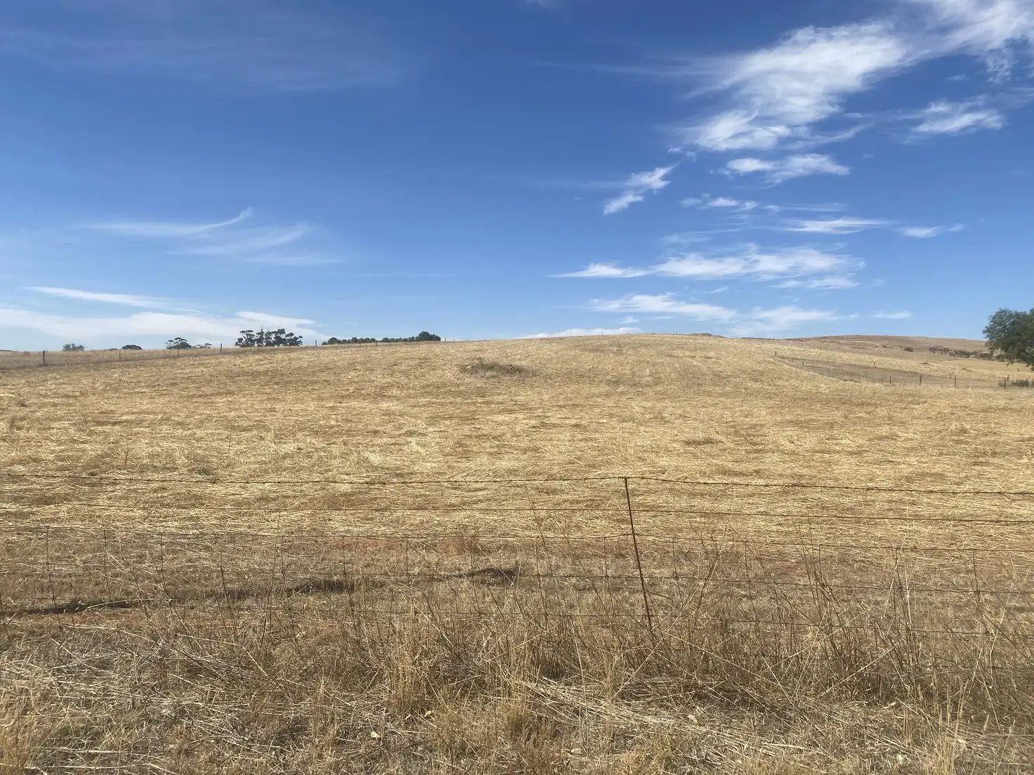 Main view of Homely land listing, 12 Depot Hill Road, Jamestown SA 5491