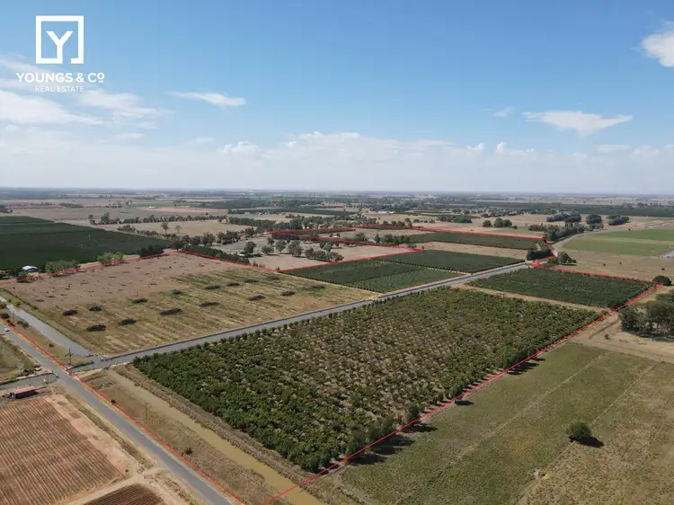 Main view of Homely rural property listing, 6439 Benalla-Tocumwal Rd, Yarroweyah VIC 3644