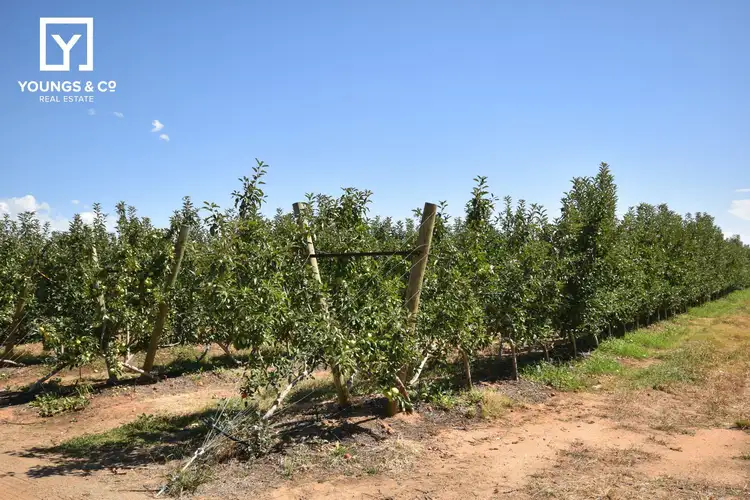 Third view of Homely rural property listing, 6439 Benalla-Tocumwal Rd, Yarroweyah VIC 3644