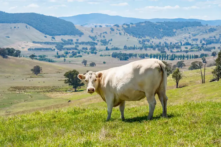 Second view of Homely rural property listing, "Tom's" Tallys Lane, Tallangatta Valley VIC 3701