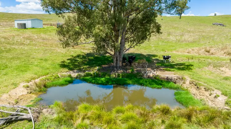 Fourth view of Homely rural property listing, "Tom's" Tallys Lane, Tallangatta Valley VIC 3701