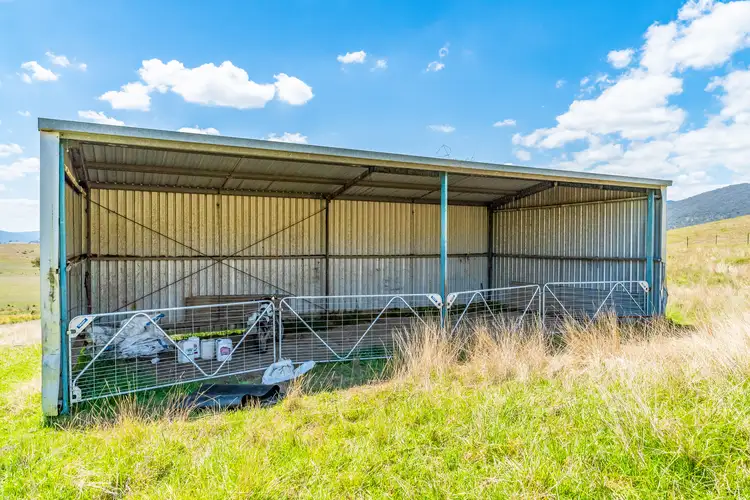 Sixth view of Homely rural property listing, "Tom's" Tallys Lane, Tallangatta Valley VIC 3701