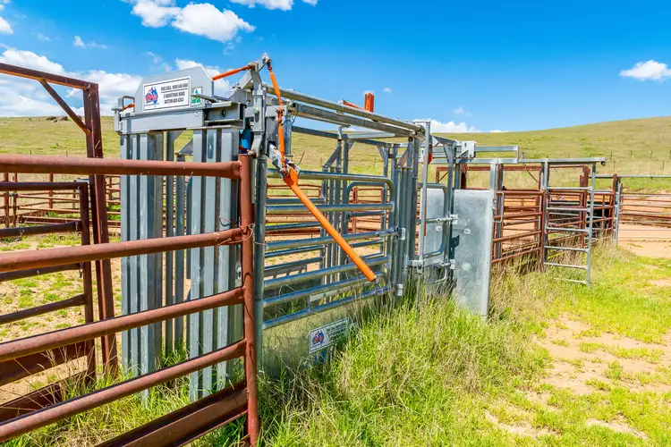 Seventh view of Homely rural property listing, "Tom's" Tallys Lane, Tallangatta Valley VIC 3701