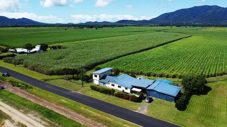 Fourth view of Homely house listing, 40 East Feluga Rd, East Feluga QLD 4854