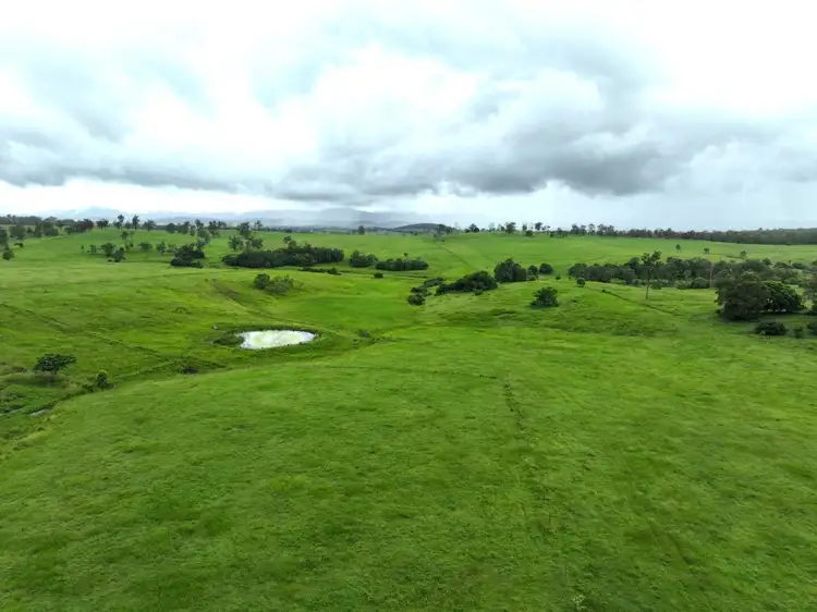 Second view of Homely rural property listing, 284 Upper Stratheden Road, Kyogle NSW 2474