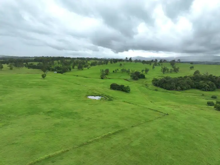 Third view of Homely rural property listing, 284 Upper Stratheden Road, Kyogle NSW 2474
