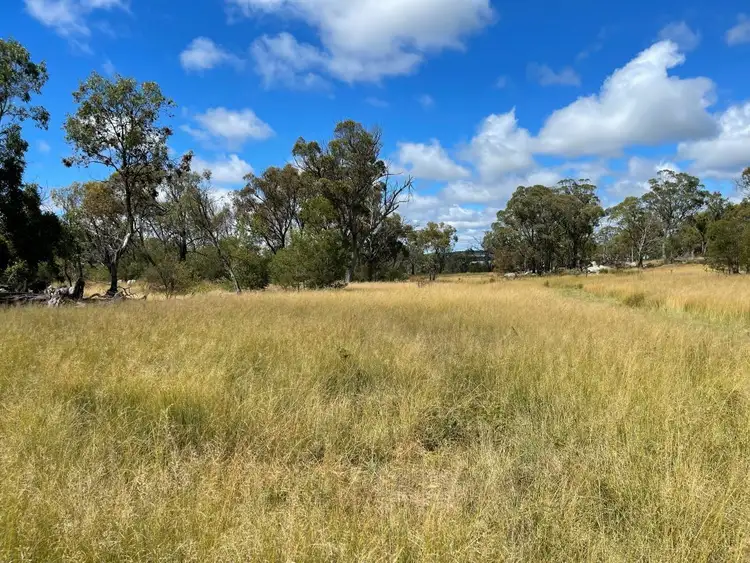 Seventh view of Homely rural property listing, 1024 Rabbit Fence Rd, Dalveen QLD 4374