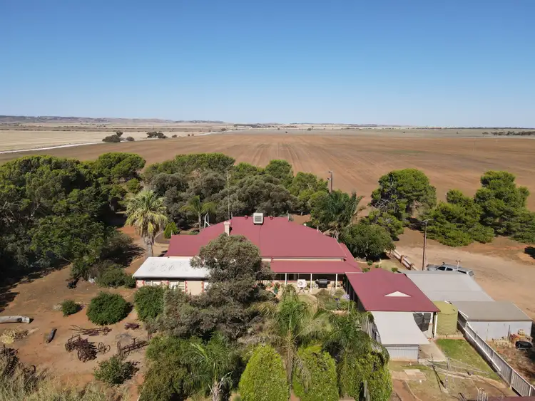 Second view of Homely rural property listing, 377 Milcowie Rd, Nurom SA 5523