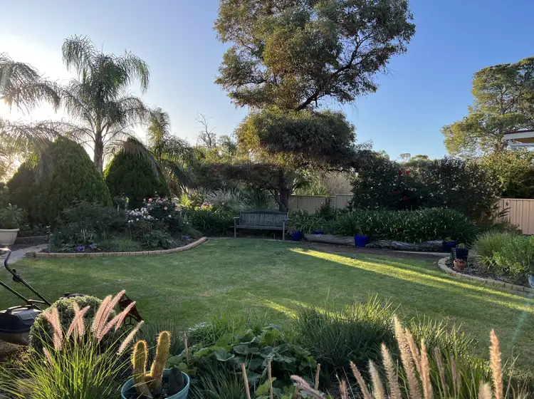 Sixth view of Homely rural property listing, 377 Milcowie Rd, Nurom SA 5523