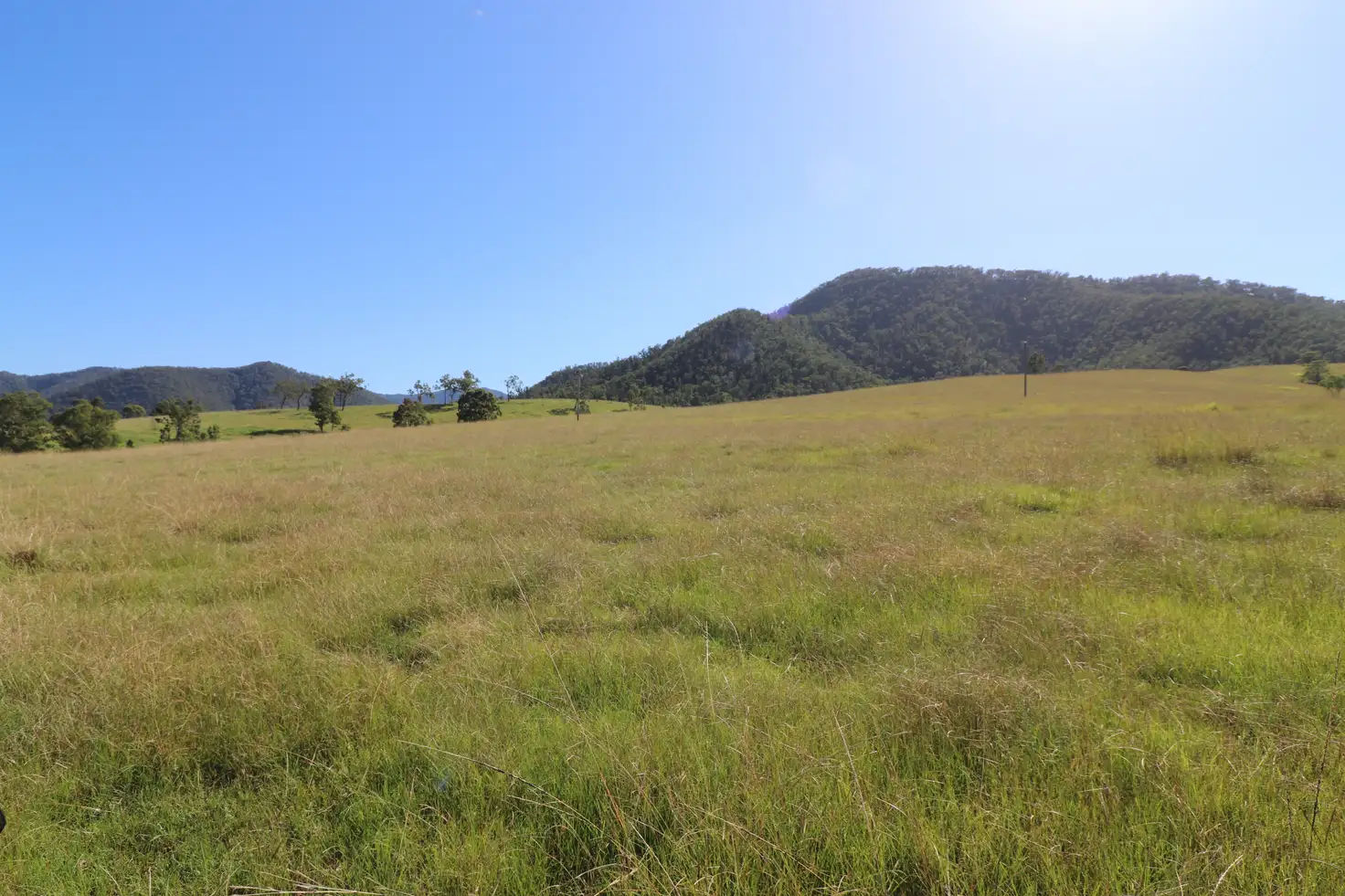 Main view of Homely rural property listing, Lot 91/7986 Kempsey Rd, Lower Creek NSW 2440
