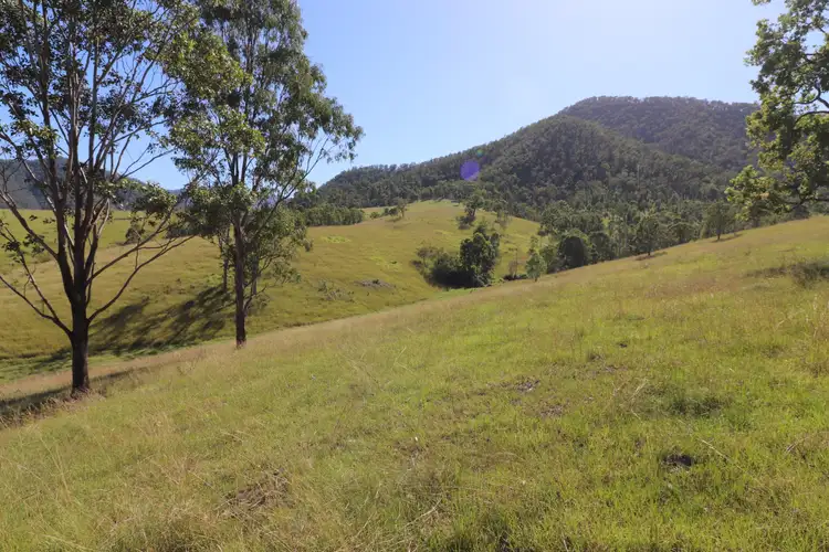 Sixth view of Homely rural property listing, Lot 91/7986 Kempsey Rd, Lower Creek NSW 2440