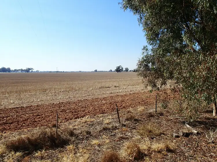Second view of Homely rural property listing, 227 Filliponis Rd, Coreen NSW 2646