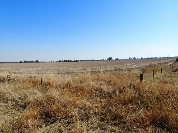 Third view of Homely rural property listing, 227 Filliponis Rd, Coreen NSW 2646