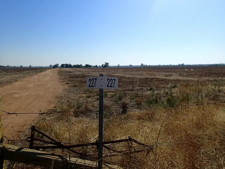 Fifth view of Homely rural property listing, 227 Filliponis Rd, Coreen NSW 2646