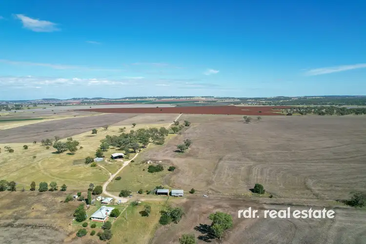 138 Prestons Lane, Inverell NSW 2360