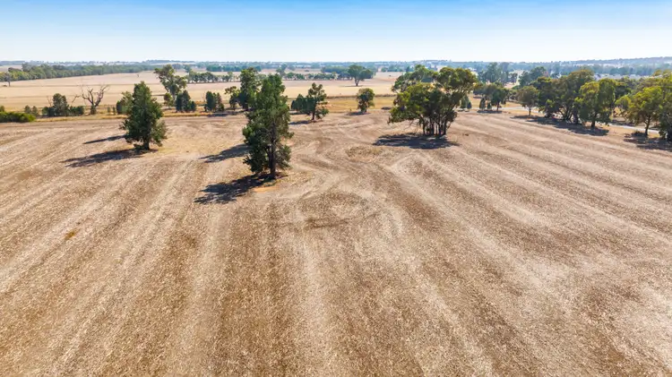 Sixth view of Homely land listing, . Eastick Street, Brocklesby NSW 2642