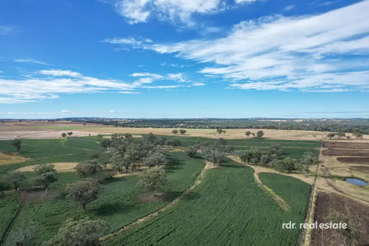 Second view of Homely rural property listing, 354 Pollocks Lane, Little Plain, Inverell NSW 2360