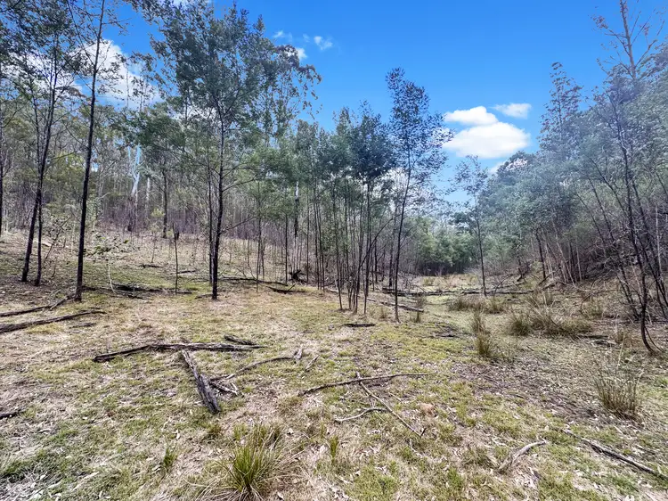Seventh view of Homely rural property listing, Lot 96 Knights Road, Laguna NSW 2325