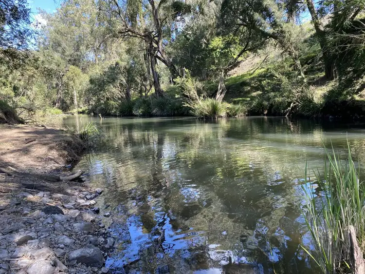 Fourth view of Homely rural property listing, 979 Afterlee Rd, Kyogle NSW 2474