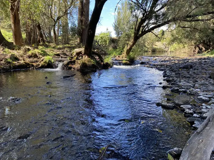 Fifth view of Homely rural property listing, 979 Afterlee Rd, Kyogle NSW 2474