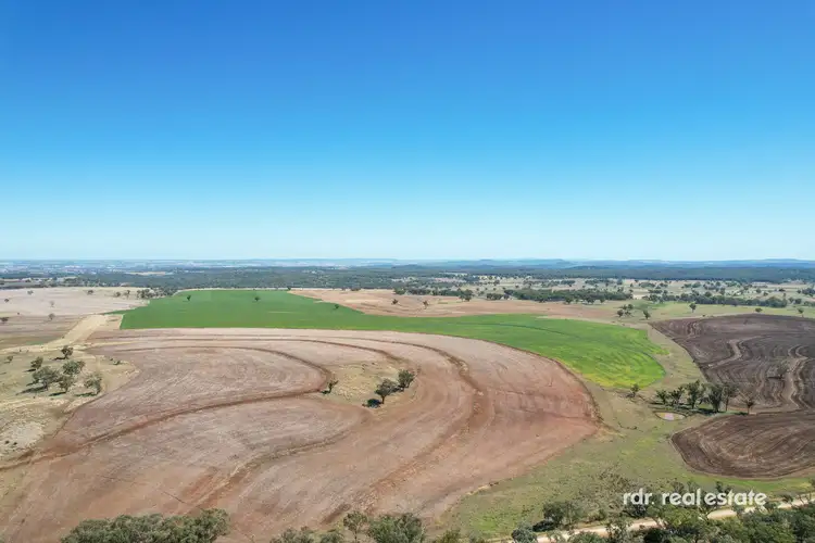 Sixth view of Homely rural property listing, 1612 Pindaroi Road, Inverell NSW 2360