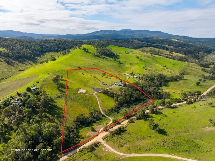 Main view of Homely rural property listing, 485 Pericoe Rd, Towamba NSW 2550
